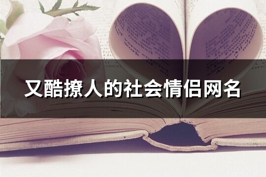 又酷撩人的社会情侣网名(共300个)