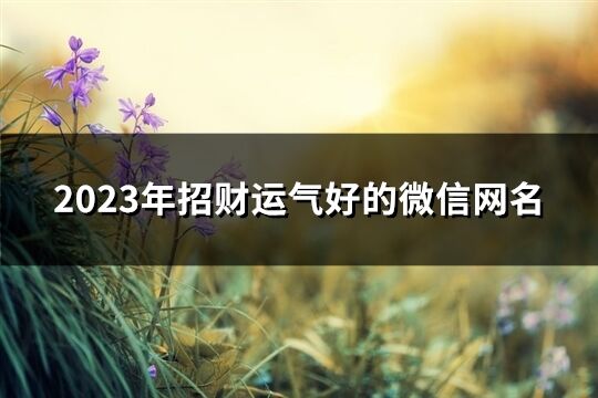 2023年招财运气好的微信网名(精选657个)