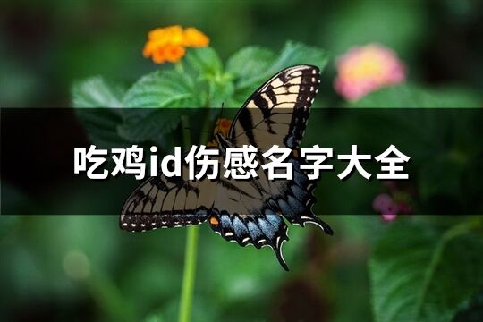 吃鸡id伤感名字大全(172个)