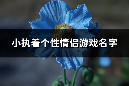 小执着个性情侣游戏名字(共116个)