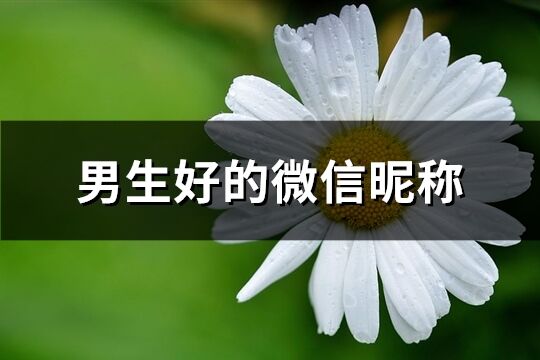 男生好的微信昵称(166个)