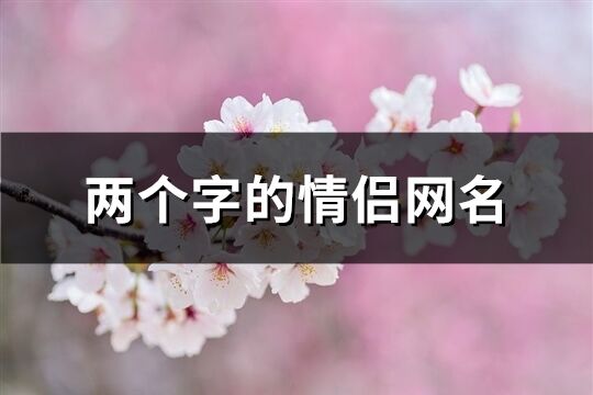 两个字的情侣网名(共225个)