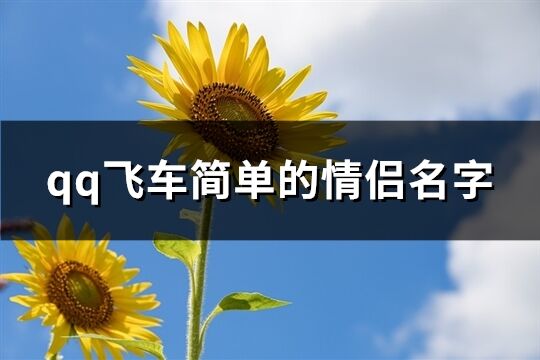 qq飞车简单的情侣名字(共114个)