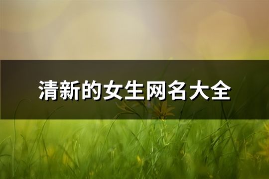 清新的女生网名大全(精选646个)