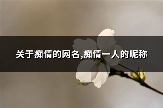 关于痴情的网名,痴情一人的昵称(共174个)