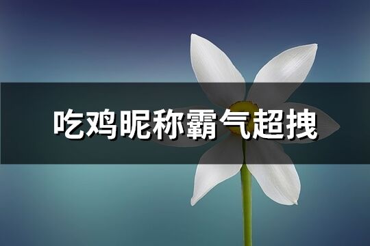 吃鸡昵称霸气超拽(共329个)