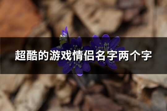 超酷的游戏情侣名字两个字(精选86个)