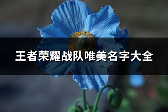 王者荣耀战队唯美名字大全(共388个)