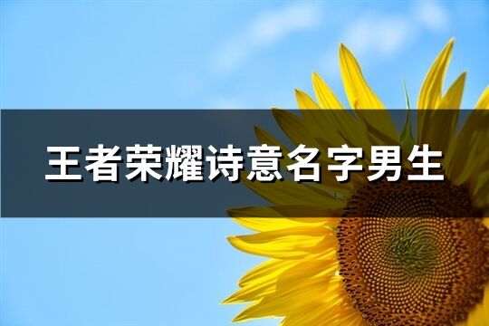 王者荣耀诗意名字男生(精选591个)