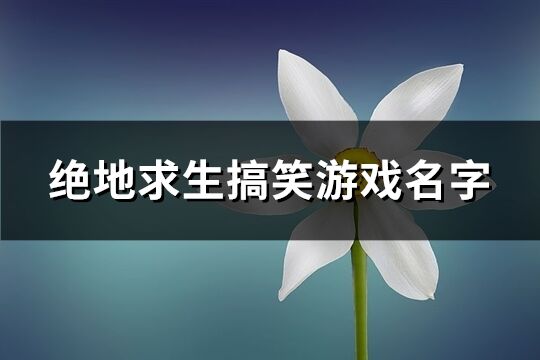 绝地求生搞笑游戏名字(精选391个)