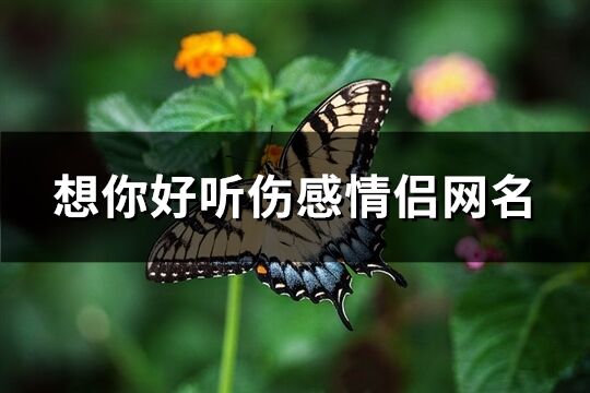 想你好听伤感情侣网名(精选83个)