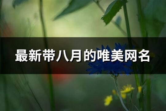 最新带八月的唯美网名(共498个)