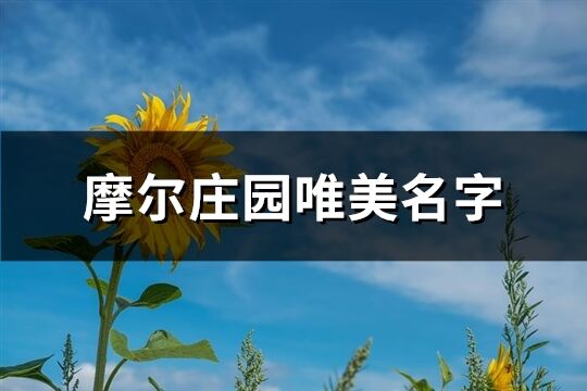 摩尔庄园唯美名字(精选870个)