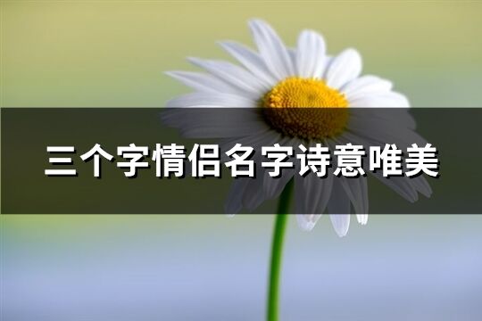 三个字情侣名字诗意唯美(共67个)