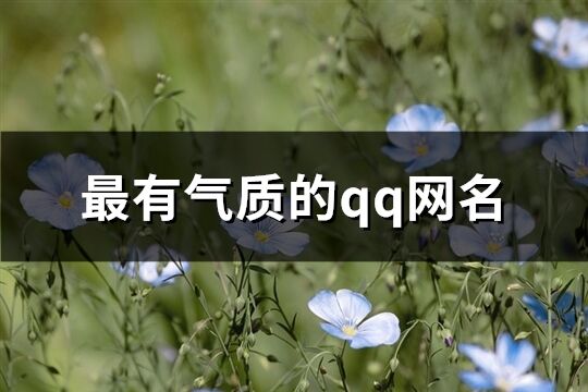 最有气质的qq网名(精选112个)