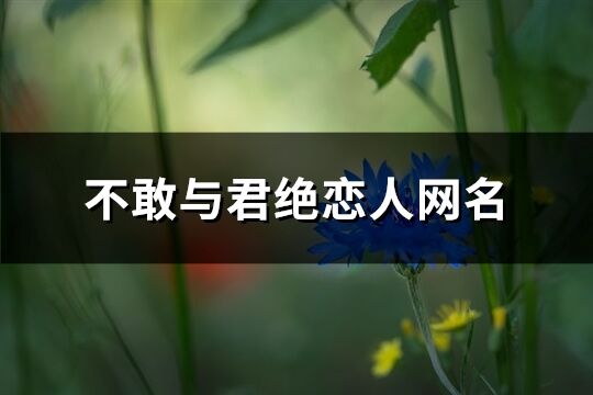 不敢与君绝恋人网名(共138个)