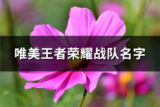 唯美王者荣耀战队名字(508个)