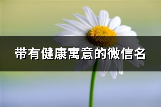 带有健康寓意的微信名(精选634个)