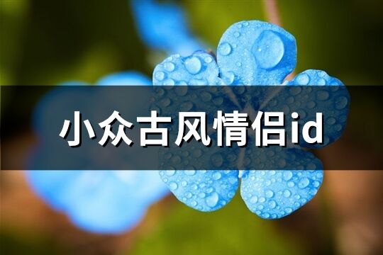 小众古风情侣id(共70个)