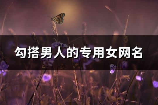 勾搭男人的专用女网名(精选118个)