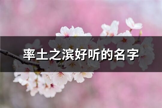 率土之滨好听的名字(精选181个)