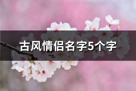 古风情侣名字5个字(精选330个)