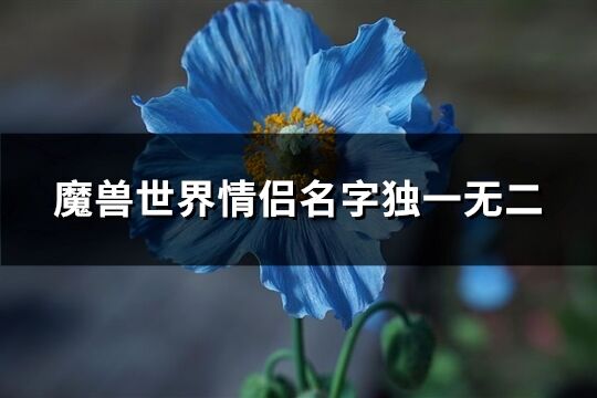 魔兽世界情侣名字独一无二(共129个)