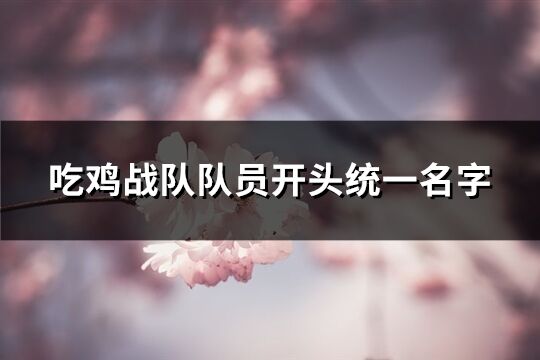 吃鸡战队队员开头统一名字(共103个)