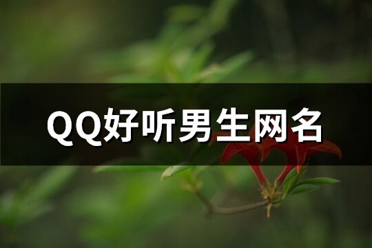 QQ好听男生网名(884个)