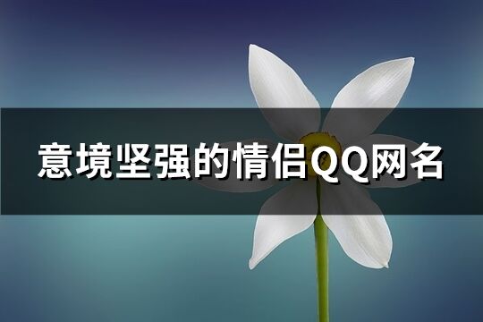 意境坚强的情侣QQ网名(77个)