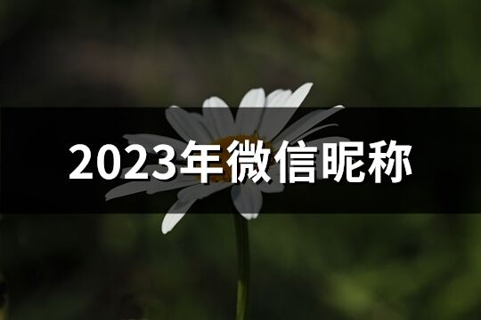 2023年微信昵称(精选2442个)