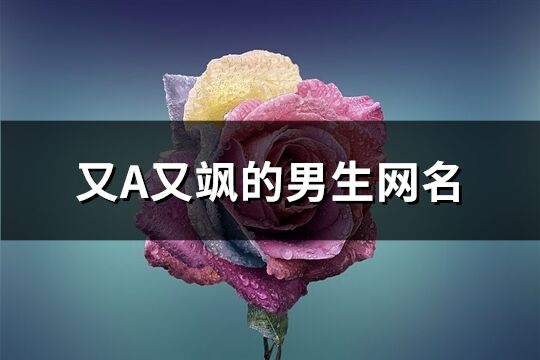 又A又飒的男生网名(共242个)