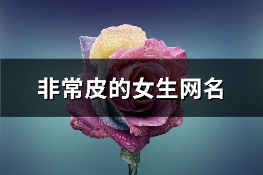 非常皮的女生网名(99个)