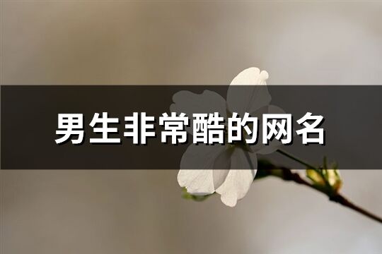 男生非常酷的网名(283个)