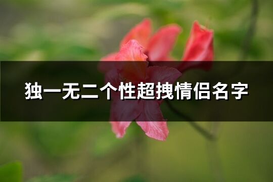 独一无二个性超拽情侣名字(共78个)