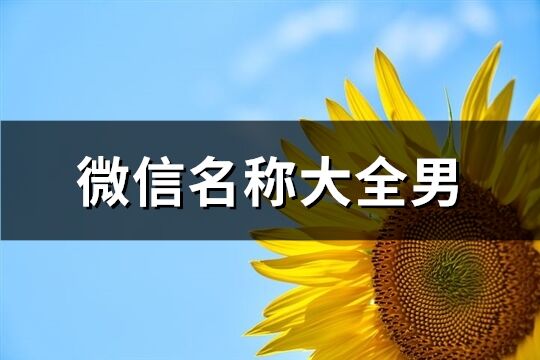 微信名称大全男(574个)