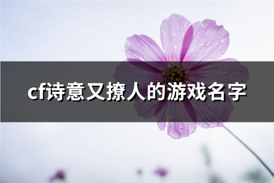 cf诗意又撩人的游戏名字(精选540个)