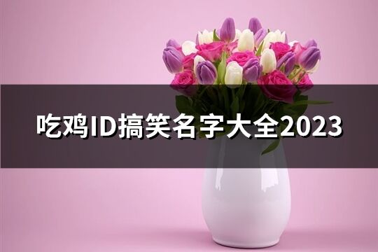 吃鸡ID搞笑名字大全2023(61个)