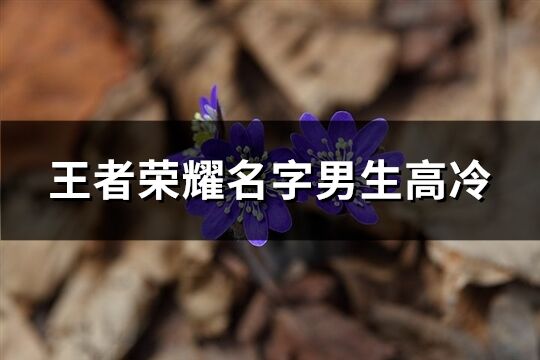 王者荣耀名字男生高冷(精选148个)