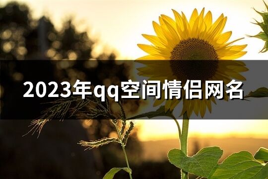 2023年qq空间情侣网名(共357个)