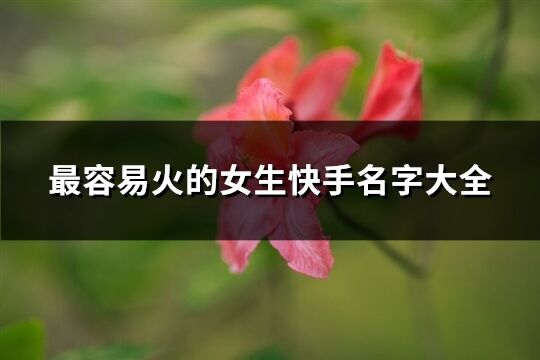 最容易火的女生快手名字大全(1338个)