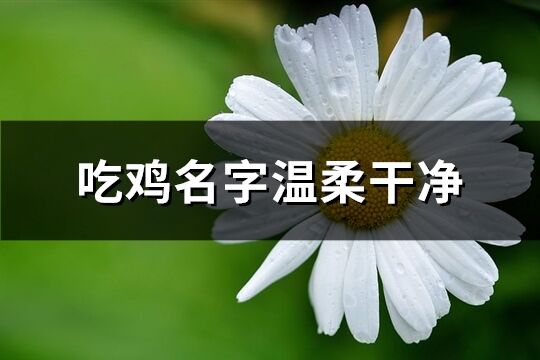 吃鸡名字温柔干净(129个)