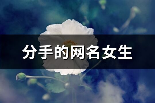 分手的网名女生(247个)