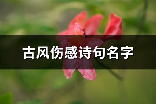 古风伤感诗句名字(共78个)