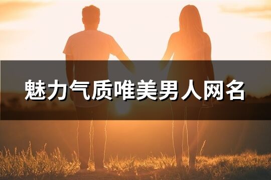 魅力气质唯美男人网名(246个)