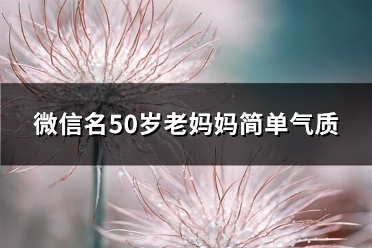 微信名50岁老妈妈简单气质(共1062个)