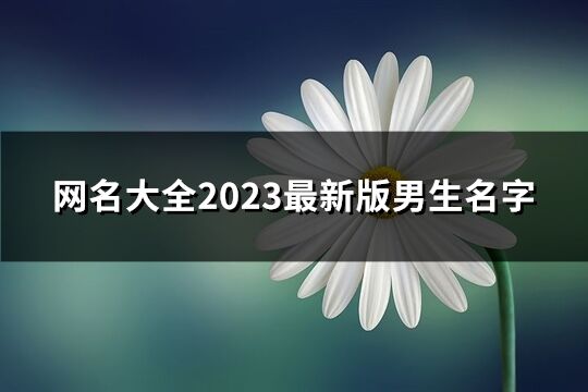 网名大全2023最新版男生名字(共754个)