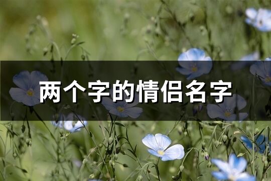 两个字的情侣名字(共646个)