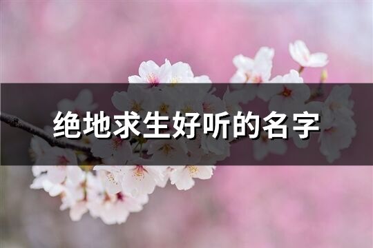 绝地求生好听的名字(445个)