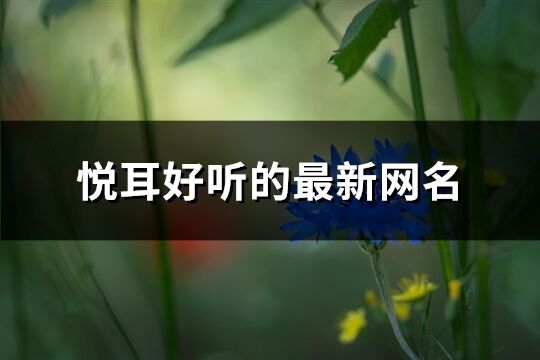 悦耳好听的最新网名(共172个)